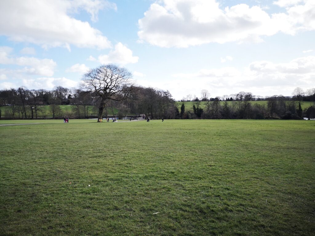 Graves park field